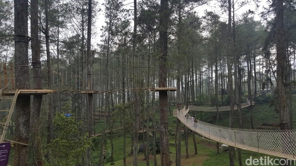 Ini nih favoritnya anak milenials di Orchid Forest, Wood Bride. Sebuah jembatan ganung sepanjang 150 meter yang menyala di malam hari. Saat menjelang malam jembatan ini akan terlihat cantik dan bagus untuk foto-foto. (Syanti/detikTravel) Ini nih favoritnya anak milenials di Orchid Forest, Wood Bride. Sebuah jembatan ganung sepanjang 150 meter yang menyala di malam hari. Saat menjelang malam jembatan ini akan terlihat cantik dan bagus untuk foto-foto. (Syanti/detikTravel)