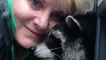 Oreoo, Karakter Asli Rocket Racoon Meninggal