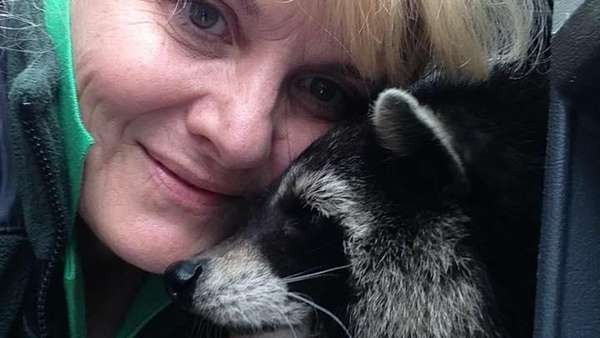 Oreoo, Karakter Asli Rocket Racoon Meninggal Oreoo, Karakter Asli Rocket Racoon Meninggal