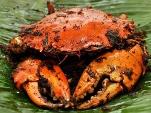 Mantap! Akhir Pekan Bisa Makan Kepiting Asap di 5 Tempat Ini