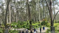 (Syanti/detikTravel)