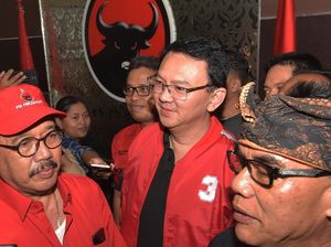 Cerita soal Ahok yang Kapok