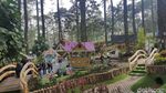 Foto: Hutan Pinus Paling Instagramable di Bandung
