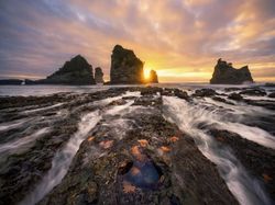 Melihat Katak Jawara Kontes Foto Australia