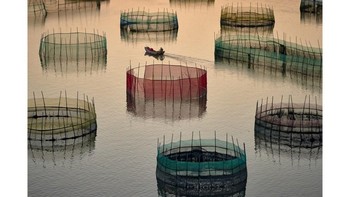 Foto: Australias Photographer of the Year