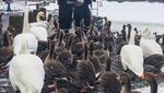 Foto: Kelakuan Polisi di Negara Paling Bahagia