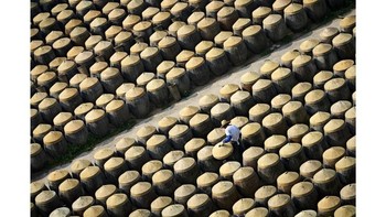 Foto: Australias Photographer of the Year