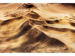 Melihat Katak Jawara Kontes Foto Australia