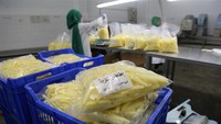 Pabrik ini memproduksi sekitar satu ton kentang goreng setiap hari, juga mempekerjakan sekitar 10 orang yang bekerja pada shift malam ketika lebih banyak pengiriman diminta. Istimewa/Xinhuanet.