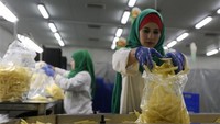 Tampak para wanita Palestina sedang menimbang kentang goreng di pabrik Rosetta di kota Beit Hanoun di Jalur Gaza Utara. Istimewa/Xinhuanet.
