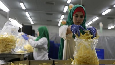 Ada Pabrik Kentang Goreng, Warga Gaza Tak Nganggur Lagi