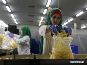 Ada Pabrik Kentang Goreng, Warga Gaza Tak Nganggur Lagi
