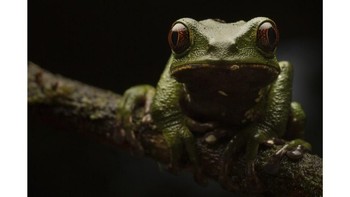 Foto: Australias Photographer of the Year