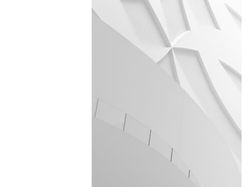 Melihat Katak Jawara Kontes Foto Australia