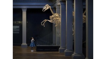 Foto Derek Zhang ini menjadi  Photo of The Year (single). Foto: Australias Photographer of the Year