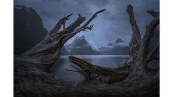 Foto: Australias Photographer of the Year