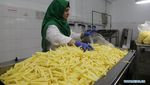 Ada Pabrik Kentang Goreng, Warga Gaza Tak Nganggur Lagi