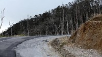 Pembangunan jalan Trans Papua ditargetkan tersambung seluruhnya tahun ini. Istimewa/Kementerian PUPR.