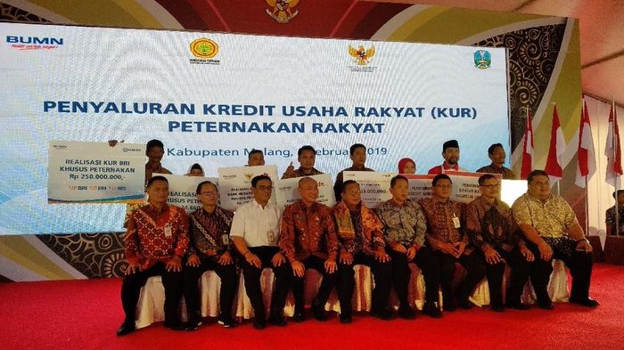 Foto: Muhammad Aminudin/detikcom Foto: Muhammad Aminudin/detikcom