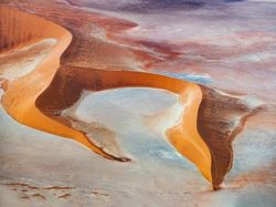 Melihat Katak Jawara Kontes Foto Australia