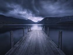 Melihat Katak Jawara Kontes Foto Australia