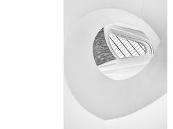 Melihat Katak Jawara Kontes Foto Australia