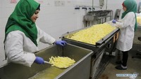 Menurut Biro Statistik Pusat Palestina, 61% lulusan muda di Jalur Gaza menganggur, dan 37% lulusan laki-laki tidak memiliki pekerjaan, sementara 72% lulusan perempuan tidak memiliki pekerjaan. Istimewa/Xinhuanet.