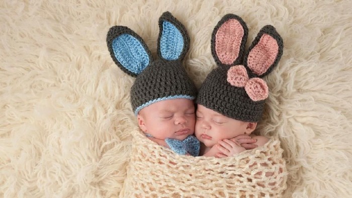 Foto: Istock Foto: Istock
