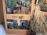 Kurangi Konsumsi Daging Bisa Cegah Perubahan Iklim Global yang Ekstrem