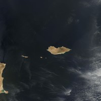 socotra pulau alien