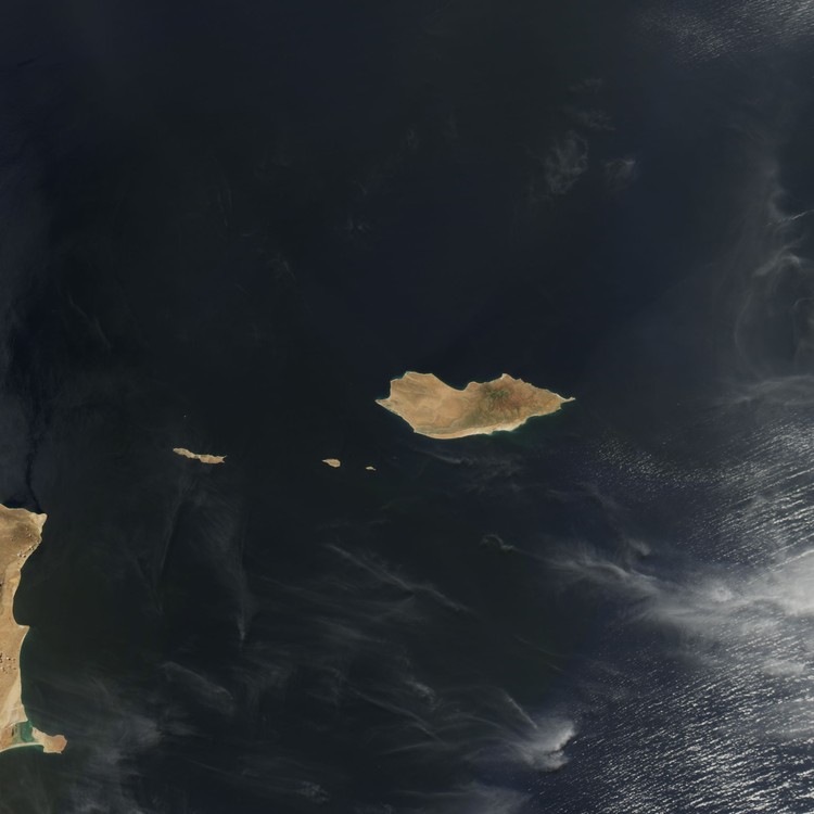 socotra pulau alien socotra pulau alien