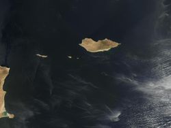 Socotra Tempat Sembunyi Dajjal Punya Pohon dan Alam yang Unik
