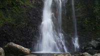 8 Km persegi bagian resortnya adalah alam liar yang dijaga keasliannya. Ada gunung berapi sampai air terjun (Laucala Island/Facebook)