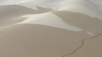 Selain tanah berbatu, Socotra juga memiliki padang pasir. Foto: socotra.ru