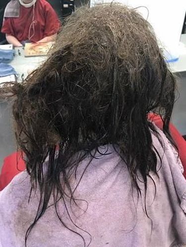Rambut remaja yang tak disisir berbulan-bulan.