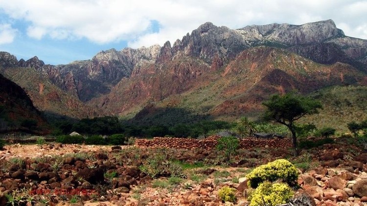 socotra pulau alien