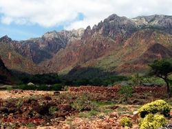 Socotra Tempat Sembunyi Dajjal Punya Pohon dan Alam yang Unik