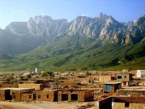 Fakta Seputar Pulau Socotra, Pulau Unik dan Misterius di Yaman