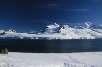 Half Moon Island yang semuanya tampak putih (iStock)