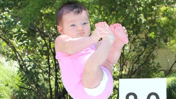 Kemampuan lompat indah Ella diganjar nilai 8 oleh sang panda kesayangan. Istimewa/Dok. Boredpanda.