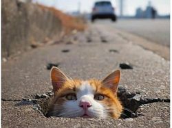 Meme-meme Kocak Chelsea Babak Belur di Markas Manchester City