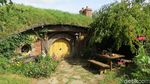 Foto: Ini Dia Desa Hobbiton yang Asli di Selandia Baru