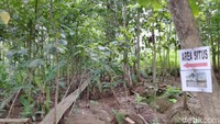 Dulu tempat ini untuk menyimpan gamelan juga tempat pertunjukan hiburan kerajaan. Tak heran, Batu Ngampar mirip lantai pertunjukan (Dadang Hermansyah/detikTravel)