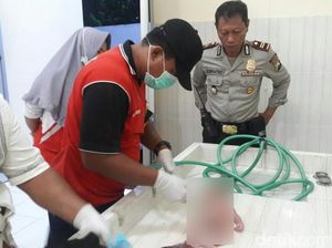 Pria di Situbondo Temukan Mayat Bayi di Sungai, Begini Kondisinya