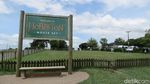 Foto: Ini Dia Desa Hobbiton yang Asli di Selandia Baru
