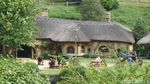 Foto: Ini Dia Desa Hobbiton yang Asli di Selandia Baru