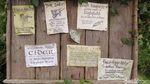 Foto: Ini Dia Desa Hobbiton yang Asli di Selandia Baru