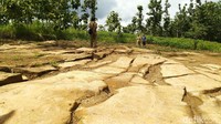 Batu Ngampar ditemukan tahun 2016, terkubur dengan kedalaman 50-100 cm. Warga menemukannya saat menggali pondasi rumah (Dadang Hermansyah/detikTravel)
