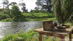 Foto: Ini Dia Desa Hobbiton yang Asli di Selandia Baru