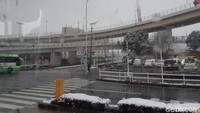 Salju di Tokyo juga menarik perhatian wisatawan Indonesia. Selain pemandangan yang putih dan cantik, salju juga memberikan dampak lain untuk masyarakat Jepang (Bonauli/detikTravel)